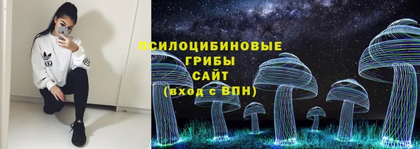 шишки Богородицк